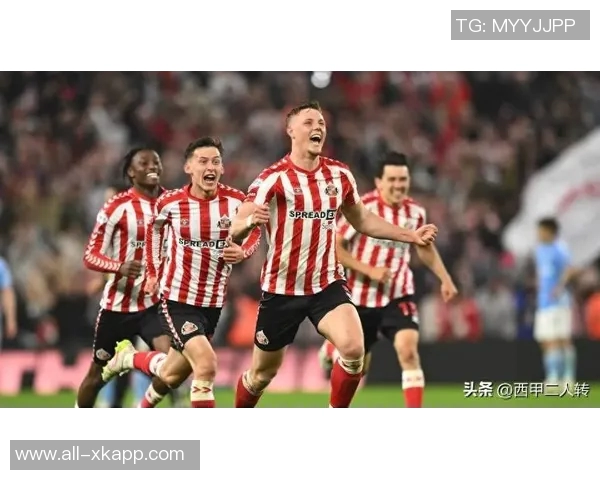 桑德兰即将签下20岁科特迪瓦边锋塔比转会费达350万镑